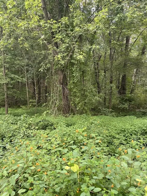 Monson, MA 01057,Lot 59-4 May Hill Road