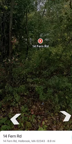 14 Fern Rd, Holbrook, MA 02343