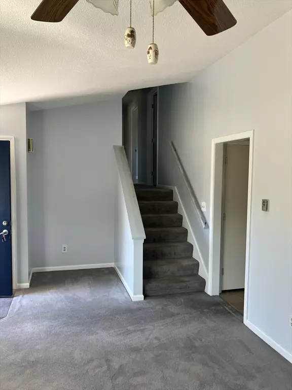 Chicopee, MA 01013,36 Lapa Farm Rd