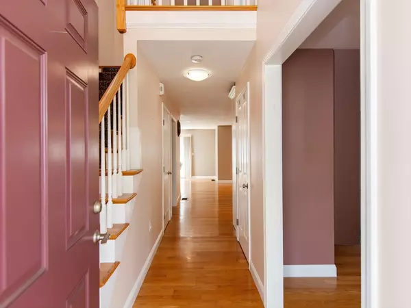 Reading, MA 01867,95 John St