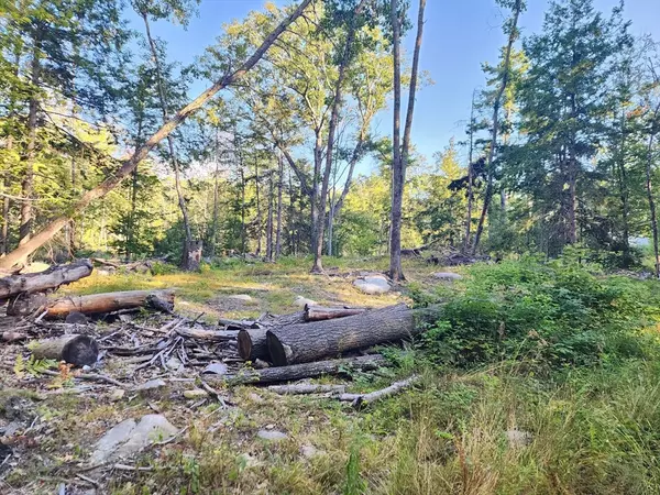 Royalston, MA 01368,0 Ne Fitzwilliam Rd