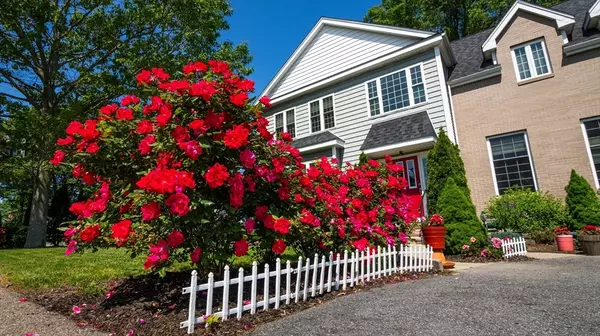 Norwood, MA 02062,6 Talbot Farm Rd