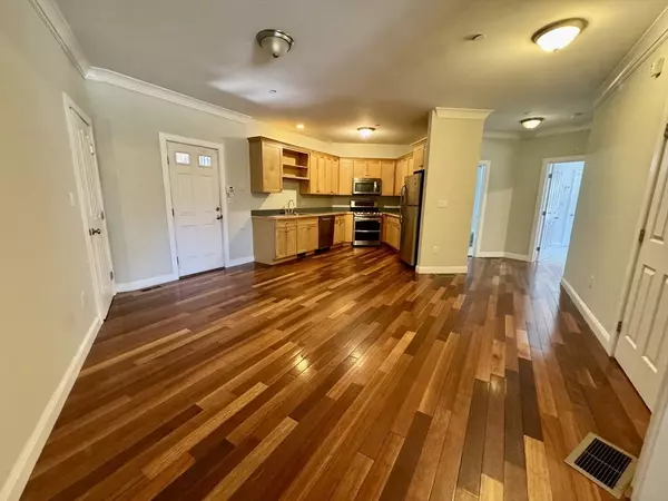 Boston, MA 02119,81 Westminster Ave #B