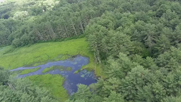 Charlton, MA 01507,0 Blood Road