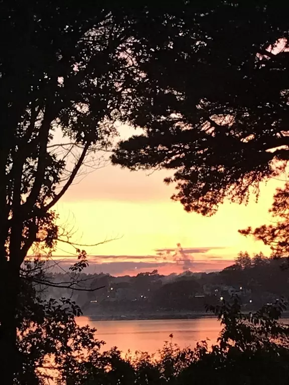 Bourne, MA 02532,65 Lewis Point Road