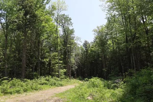 Becket, MA 01223,Lot 3 Yokum Pond Rd