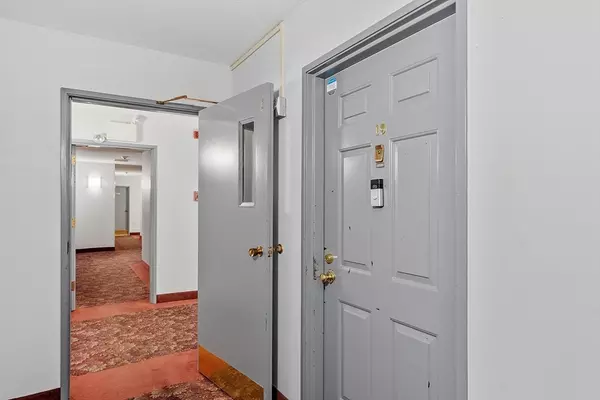 Worcester, MA 01602,1029 Pleasant Street #19