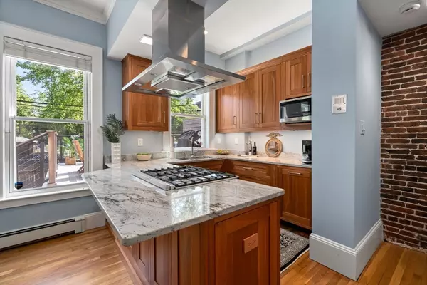 Boston, MA 02118,203 West Springfield Street #1