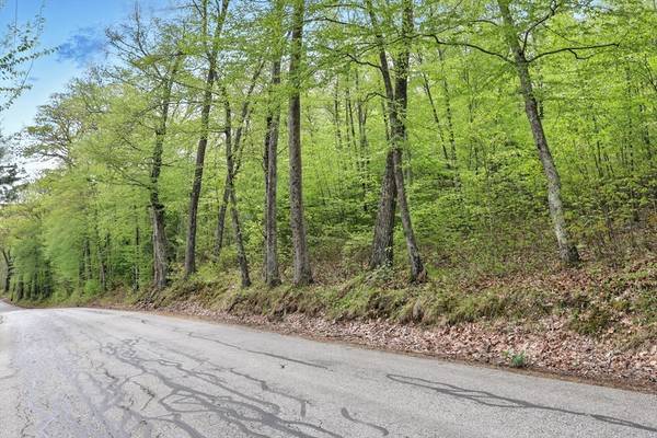 Warren, MA 01083,Lot 4 Reed Street