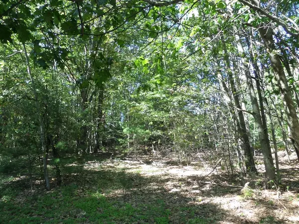 Chesterfield, MA 01012,0 Stage Road