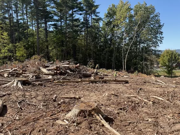 Southampton, MA 01073,Lot 57 Whiteloaf Rd