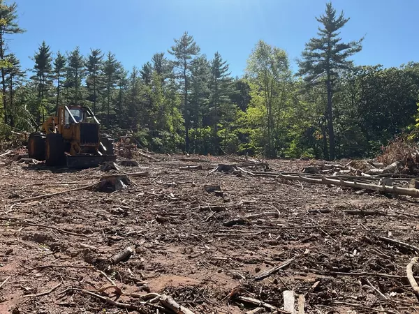 Southampton, MA 01073,Lot 57 Whiteloaf Rd