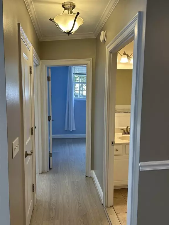 Worcester, MA 01604,47 Alvarado Ave #1A
