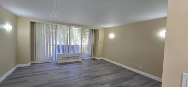 Brookline, MA 02445,44 Washington St #213