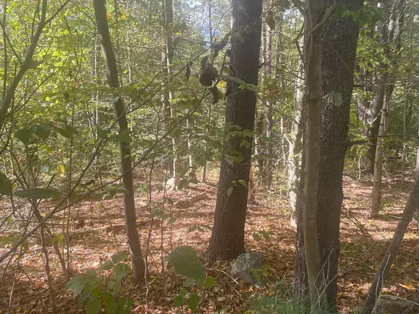 Phillipston, MA 01331,Lot 13 Secret Lake Rd