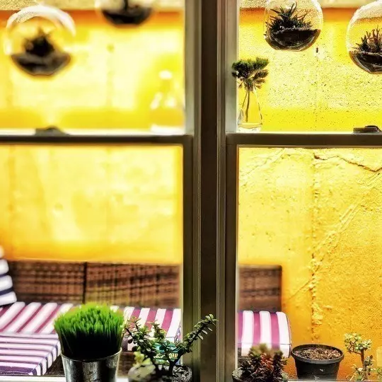 Falmouth, MA 02540,316 Gifford St #6