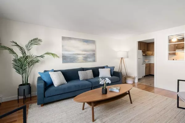 Arlington, MA 02474,215 Massachusetts Avenue #19 (34)