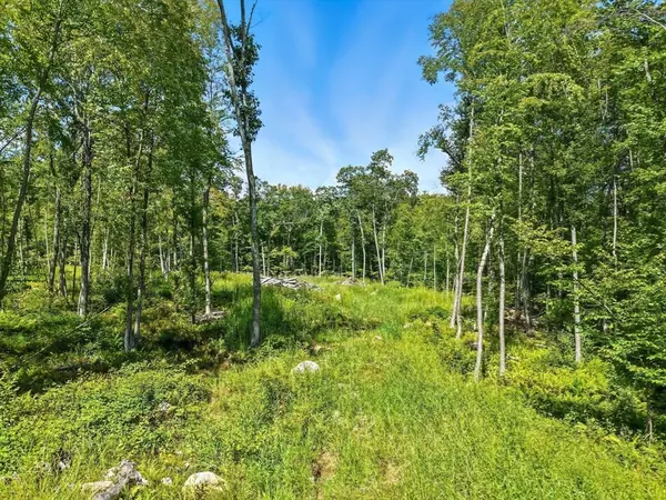 25 Milk Street, Blackstone, MA 01504