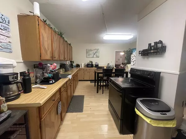 Worcester, MA 01603,7 Buffum St #2