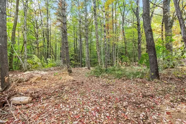 Winchendon, MA 01475,0 Vaine