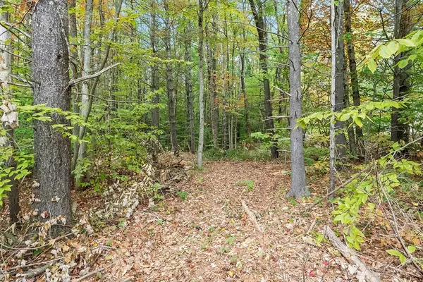 Winchendon, MA 01475,0 Vaine