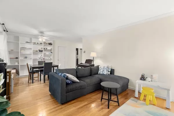 Brookline, MA 02446,57 Havard Avenue #1