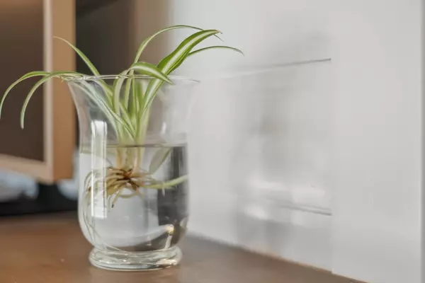 Swampscott, MA 01907,3 Nantucket Ave