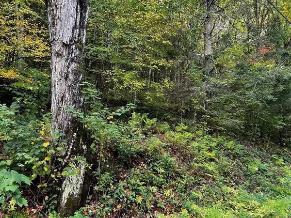 Hawley, MA 01339,0 W Hawley Rd