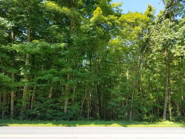Sturbridge, MA 01518,266 Holland Rd