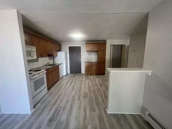 Worcester, MA 01610,101 Whipple #16