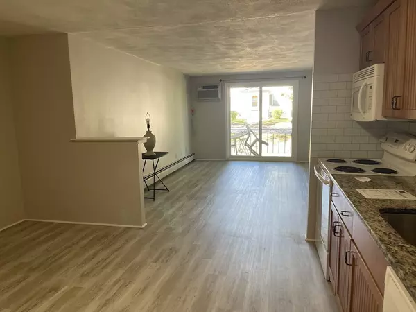 Worcester, MA 01610,101 Whipple #16