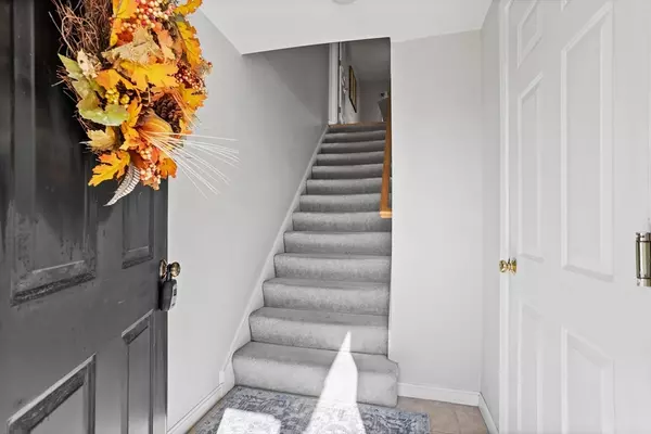 Lowell, MA 01854,1401 Pawtucket Blvd #10