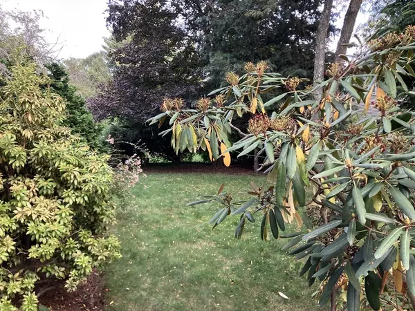 Brookline, MA 02467,0 Glenoe Rd