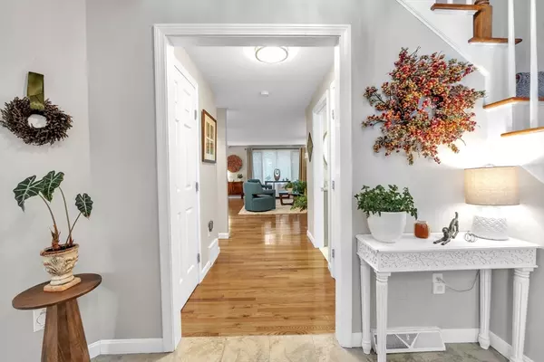 Worcester, MA 01609,770 Salisbury Street #201