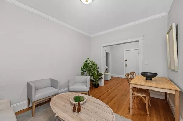 Boston, MA 02135,65 Lanark Rd #2