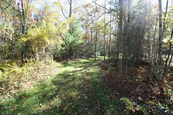 0 Town Hill Rd, Sandisfield, MA 01255