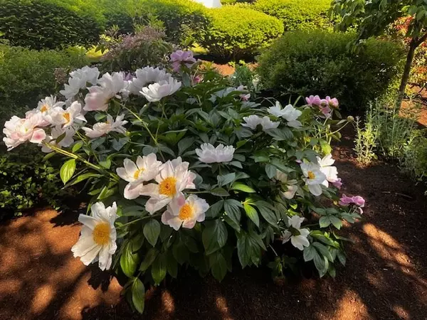 Boston, MA 02132,15 Cass Street #3