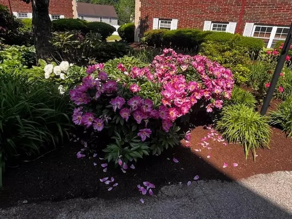 Boston, MA 02132,15 Cass Street #3