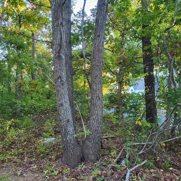 Bourne, MA 02562,10 Tecumseh Road