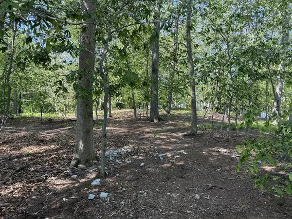 Wayland, MA 01778,108 Dudley Rd