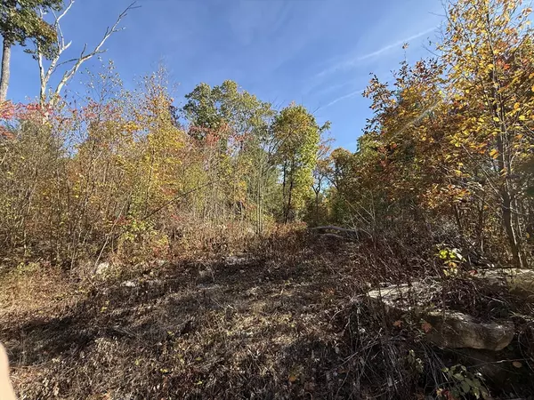 Belchertown, MA 01007,Lot 1 Amherst Rd.