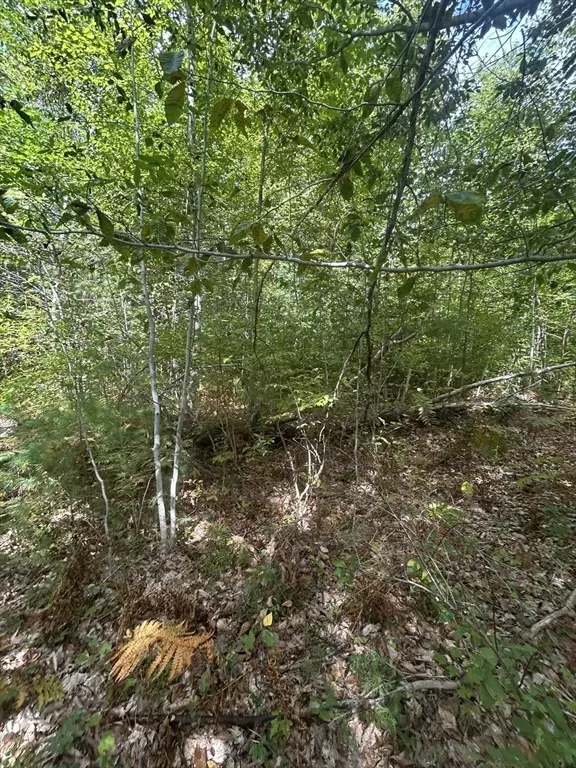 Ashby, MA 01431,531 Mason Rd