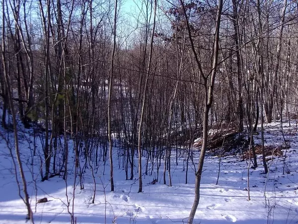 Millville, MA 01529,90 Chestnut Hill Road