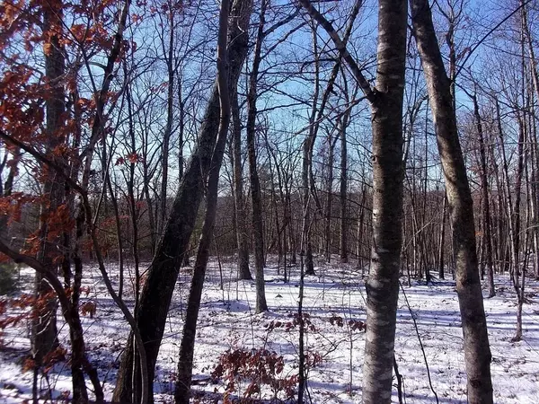 Millville, MA 01529,90 Chestnut Hill Road