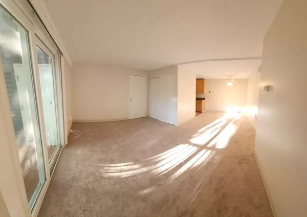 Natick, MA 01760,11 Post Oak Lane #6