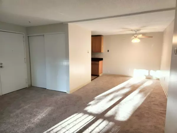 Natick, MA 01760,11 Post Oak Lane #6