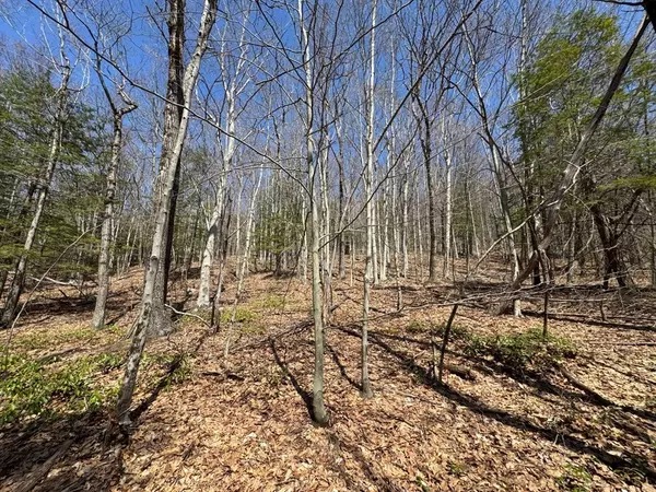 Bernardston, MA 01337,544 Fox Hill Rd (Vacant Land)
