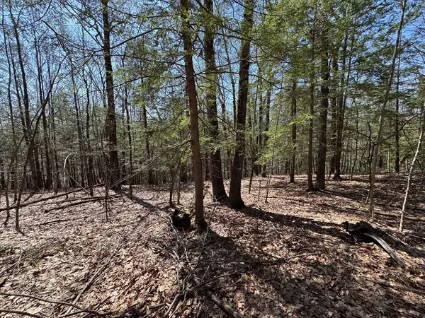 Bernardston, MA 01337,544 Fox Hill Rd (Vacant Land)