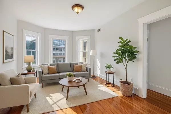 Boston, MA 02122,104 King St. #2