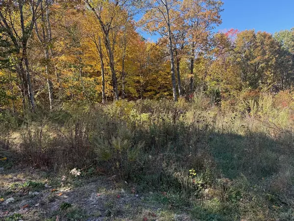 Leominster, MA 01453,Lot 2 Birch St